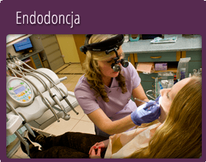 Endodoncja